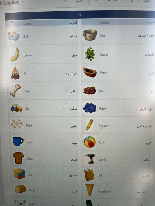 Skólaorðaforði fyrir 1.bekk, íslenska -arabíska