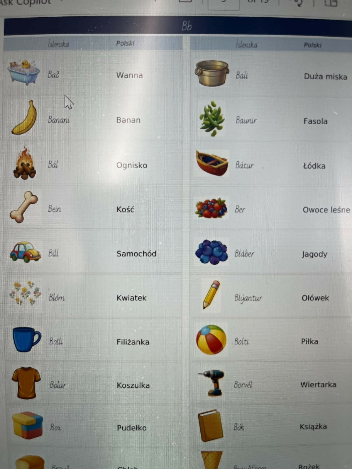 Skólaorðaforði fyrir 1.bekk, íslenska - pólska