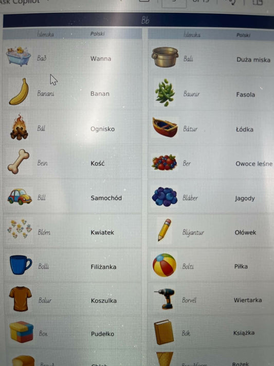 Skólaorðaforði fyrir 1.bekk, íslenska - pólska