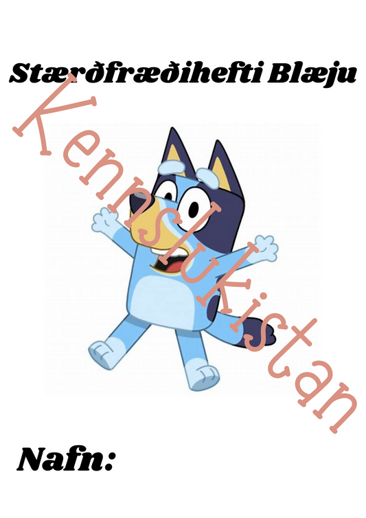 Kennslukistan-10