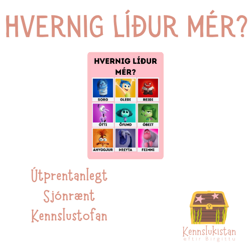 Sýnimynd - leyninemandinn-4