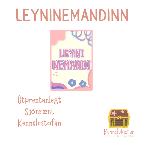 Sýnimynd - leyninemandinn-3